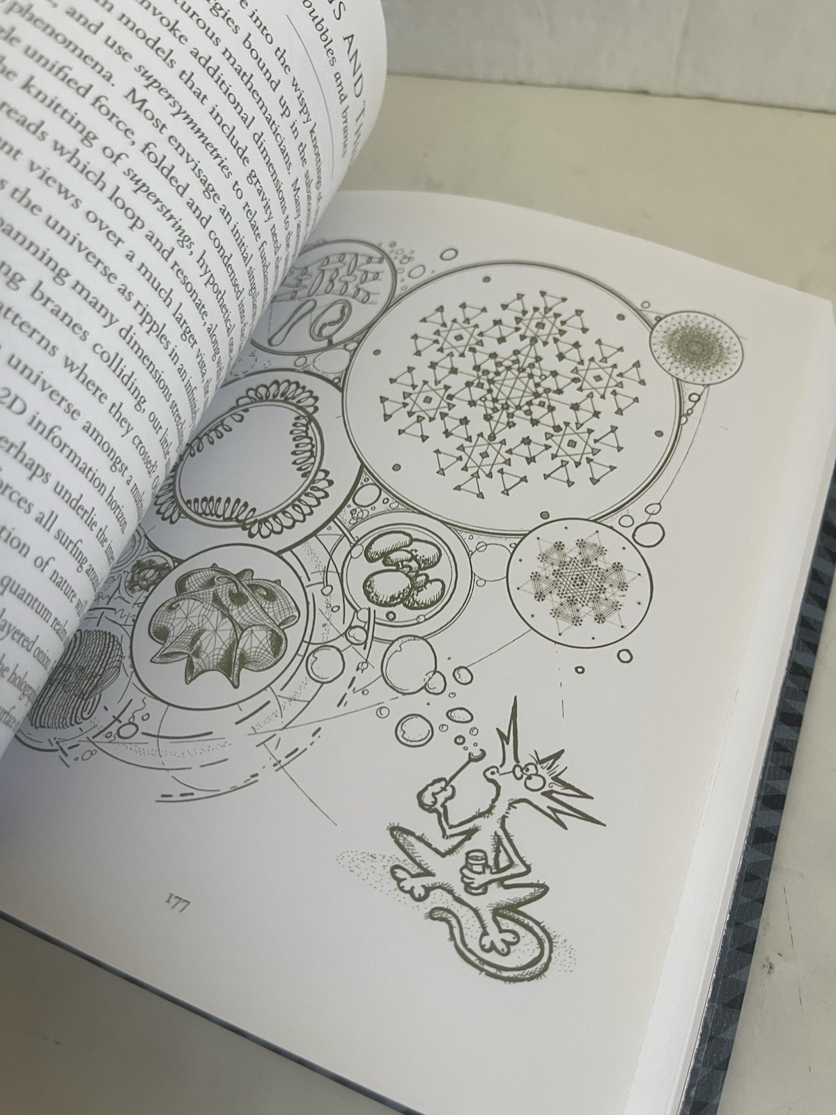 Wooden Bks.: Sciencia: Mathematics, Physics, Chemistry, Biology, and Astronomy