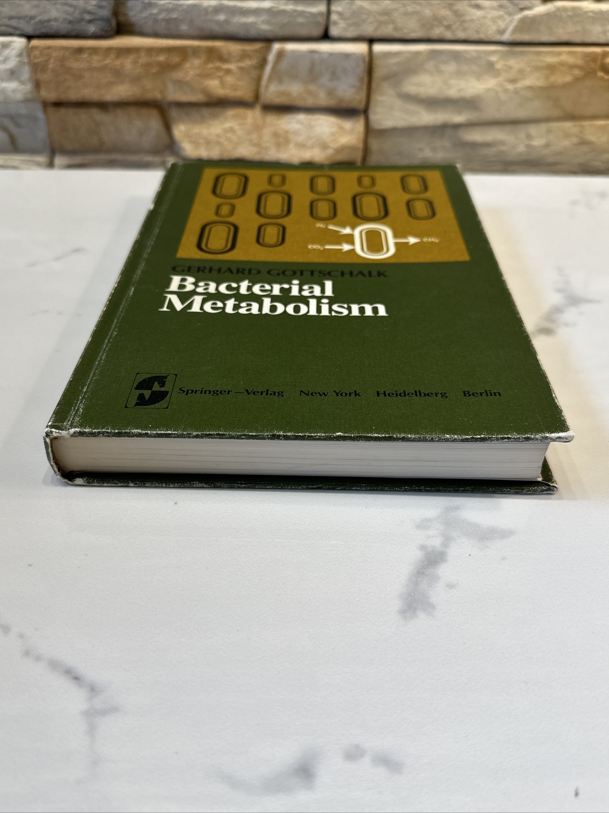 Bacterial Metabolism by Gottschalk, Gerhard Springer Verlag New York 1979 HC