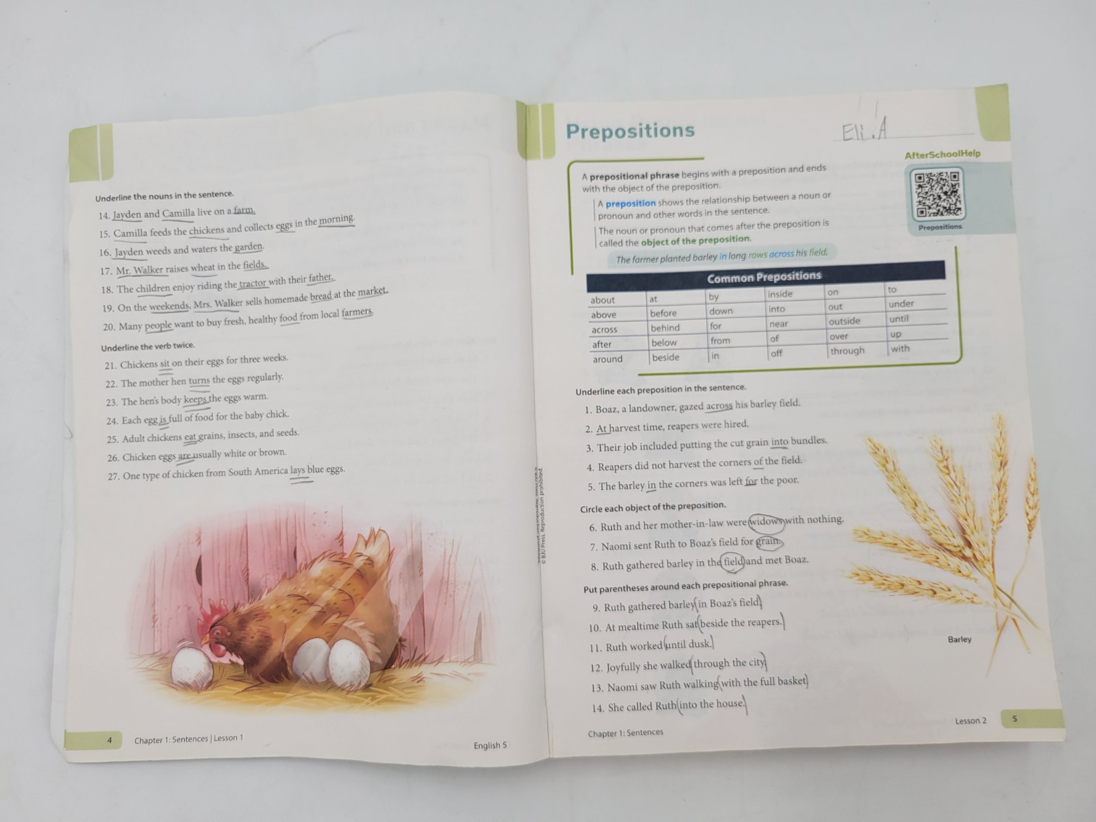 BJU Press English 5 Worktext (3rd edition) 532432 Paperback WITH WRITING