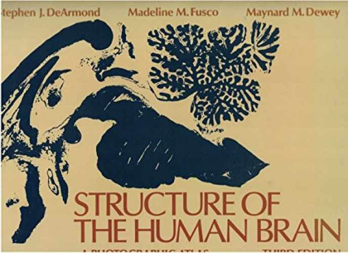 Structure of the Human – Spiral-bound, by DeArmond Stephen J.; – Very Good