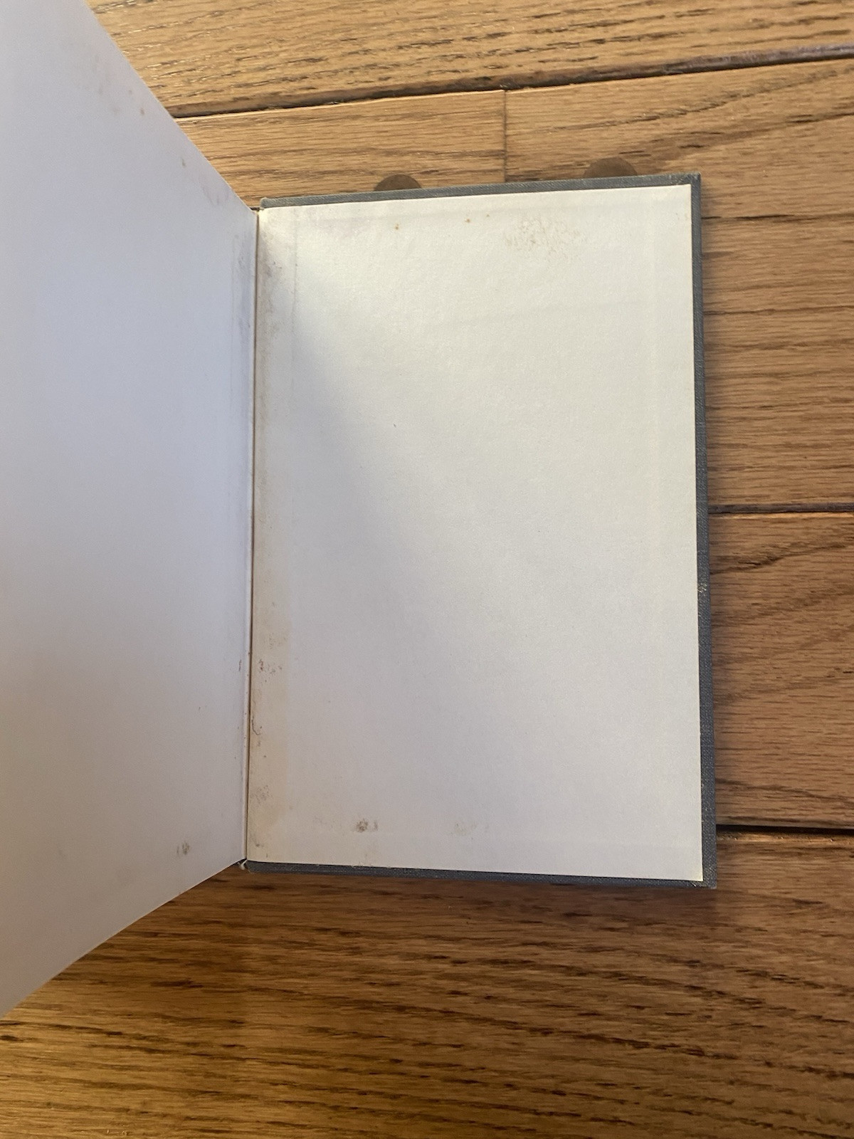 Basic Concepts In Modern Mathematics By John E. Hafstrom Hardcover 1961