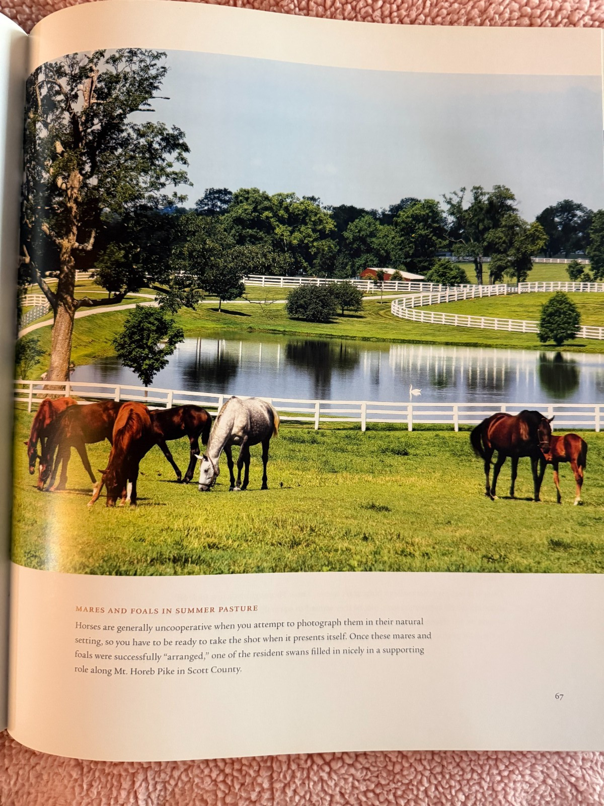 2008 James Archambeault: Kentucky Horse Country Hardcover Photo Journal Book