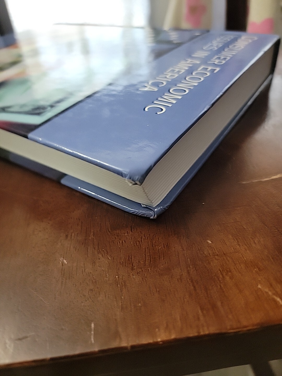 Consumer Economic Issues In America 8th Edition E. Thomas Garman Thompson 2003