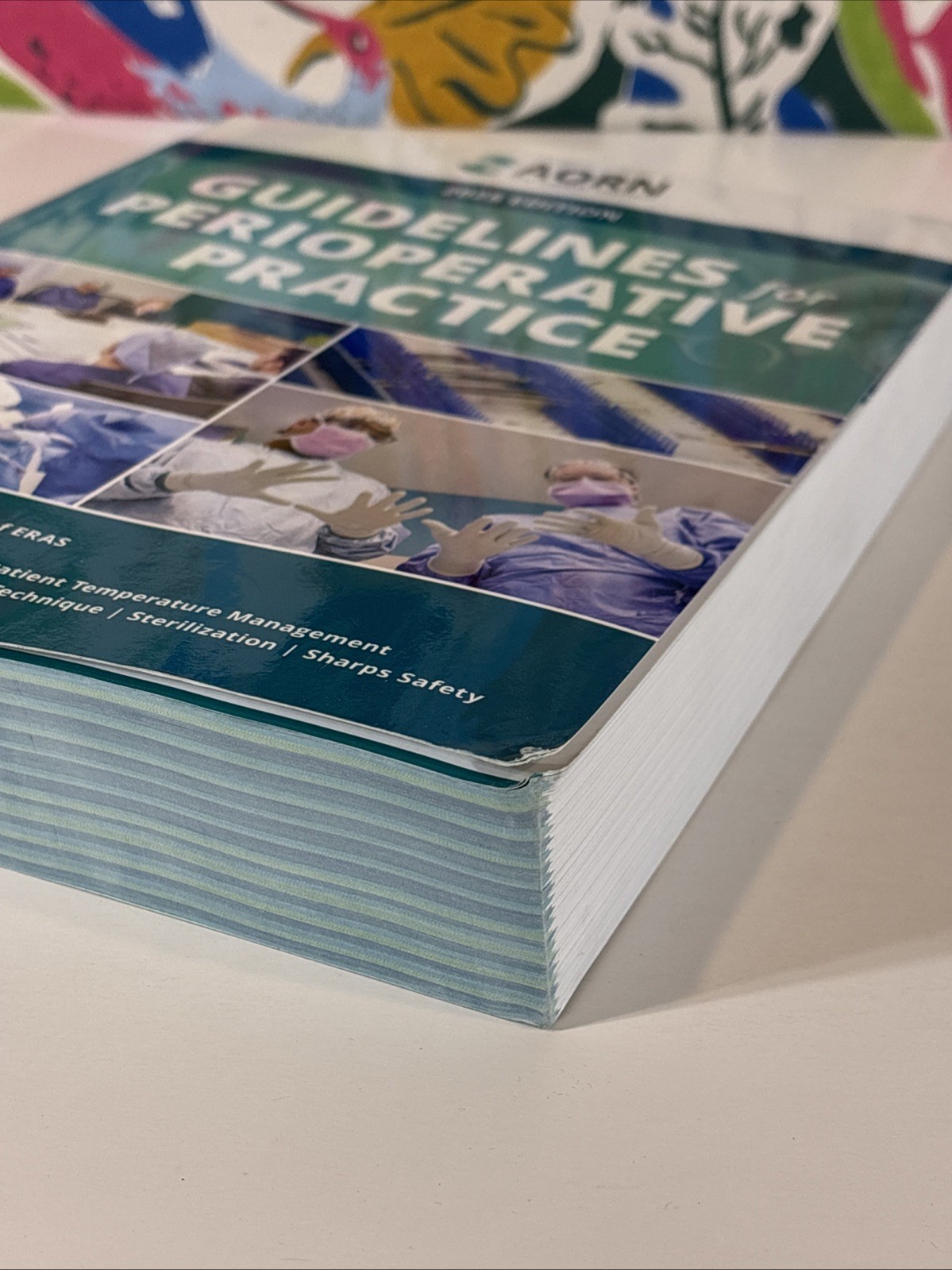 AORN Guidelines For Perioperative Practice 2025 Edition Book