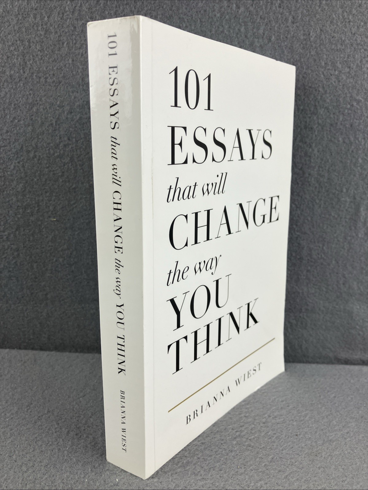 101 Essays That Will Change The Way You Think – Perfect Paperback – VERY GOOD