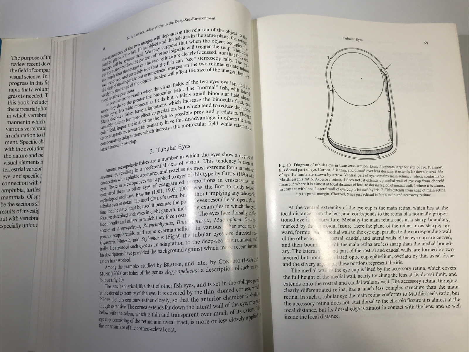 Handbook of Sensory Physiology Volume VII/5 The Visual System in Vertebrates