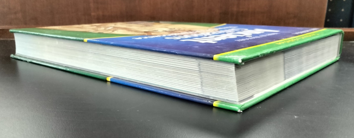 Holt McDougal World History Ancient Civilizations Through the Renaissance