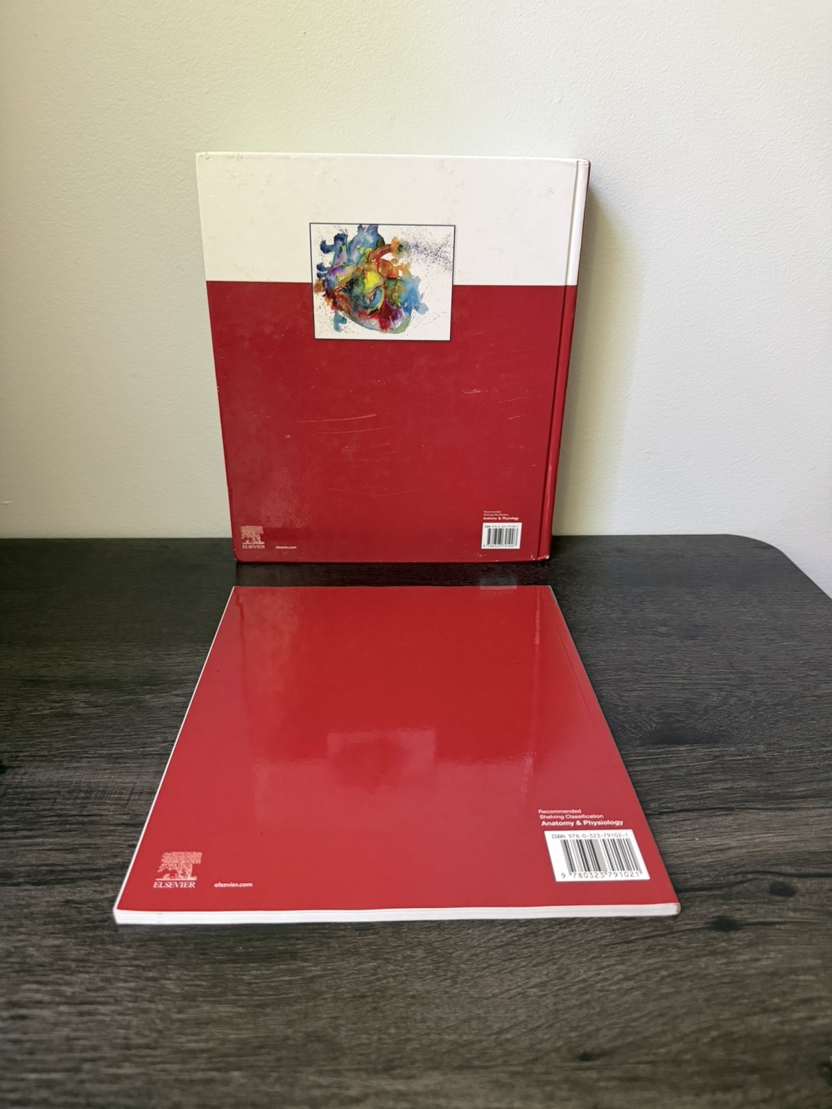 Anatomy & Physiology Eleventh Edition Patton Bell Thompson With Quick Guide