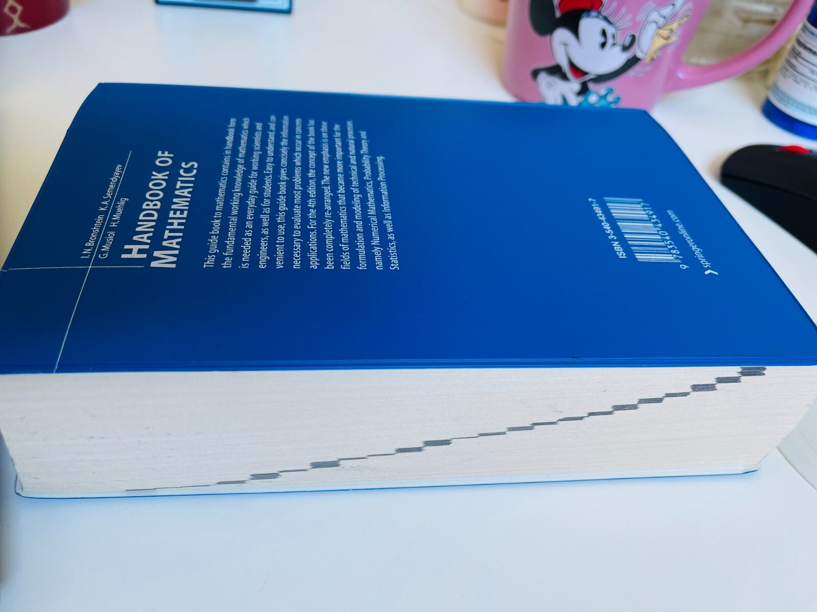 Handbook of Mathematics Paperback