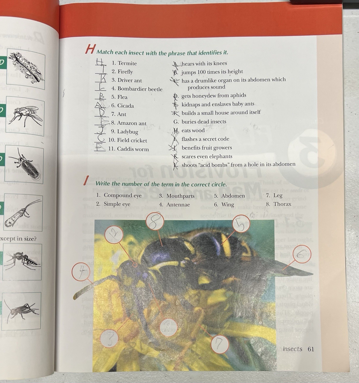 Abeka Understanding God’s World 3rd ed textbook homeschool science