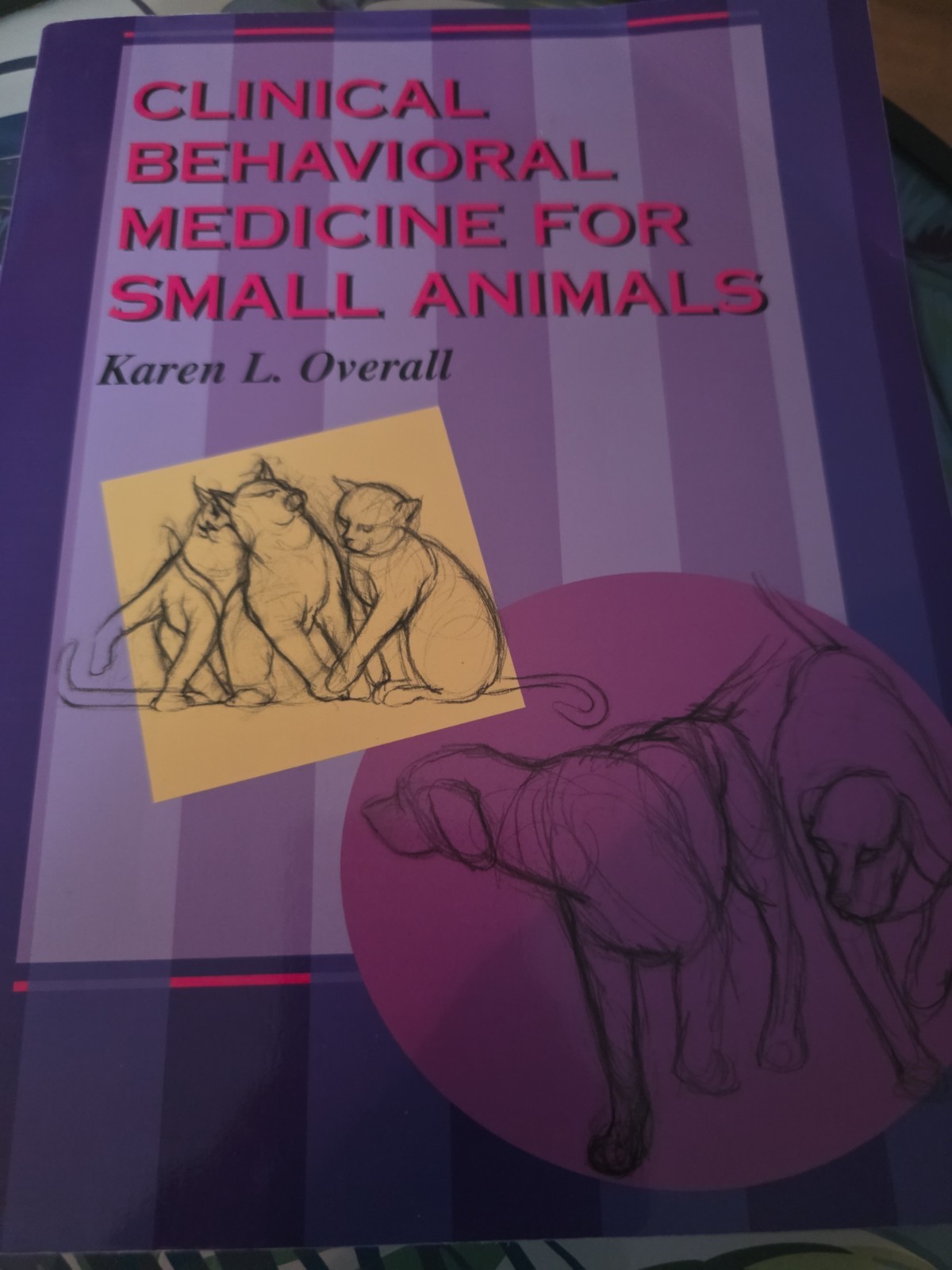 Clinical Behavioral Medicine For Small Animals, 1e – Paperback Book