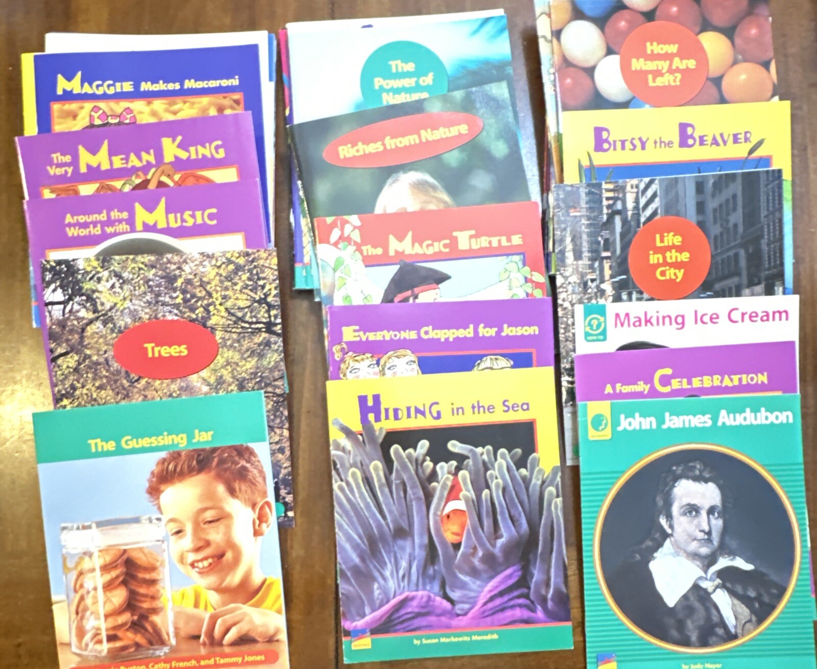 Lot Of 80 Leveled Readers F-M Benchmark Education Early Connections Homeschool