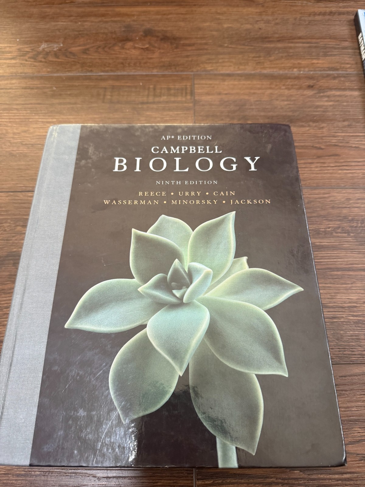Campbell Biology by Peter V. Minorsky, Robert B. Jackson, Michael L. Cain, Lisa
