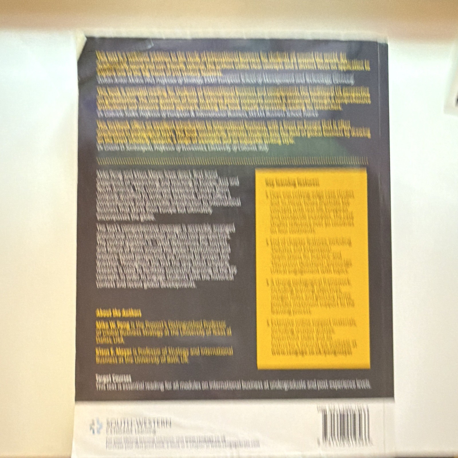 International Business by Mike Peng & Klaus Meyer Paperback 2011 Cengage