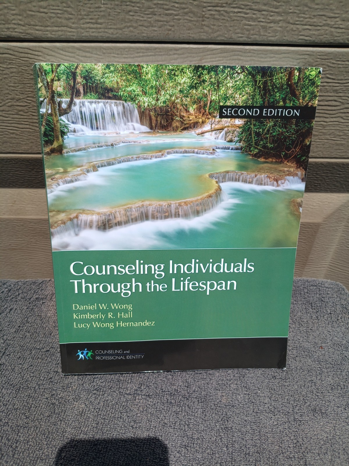 Counseling Individuals Through the Lifespan 12th Edition SC READ DESCRIPT