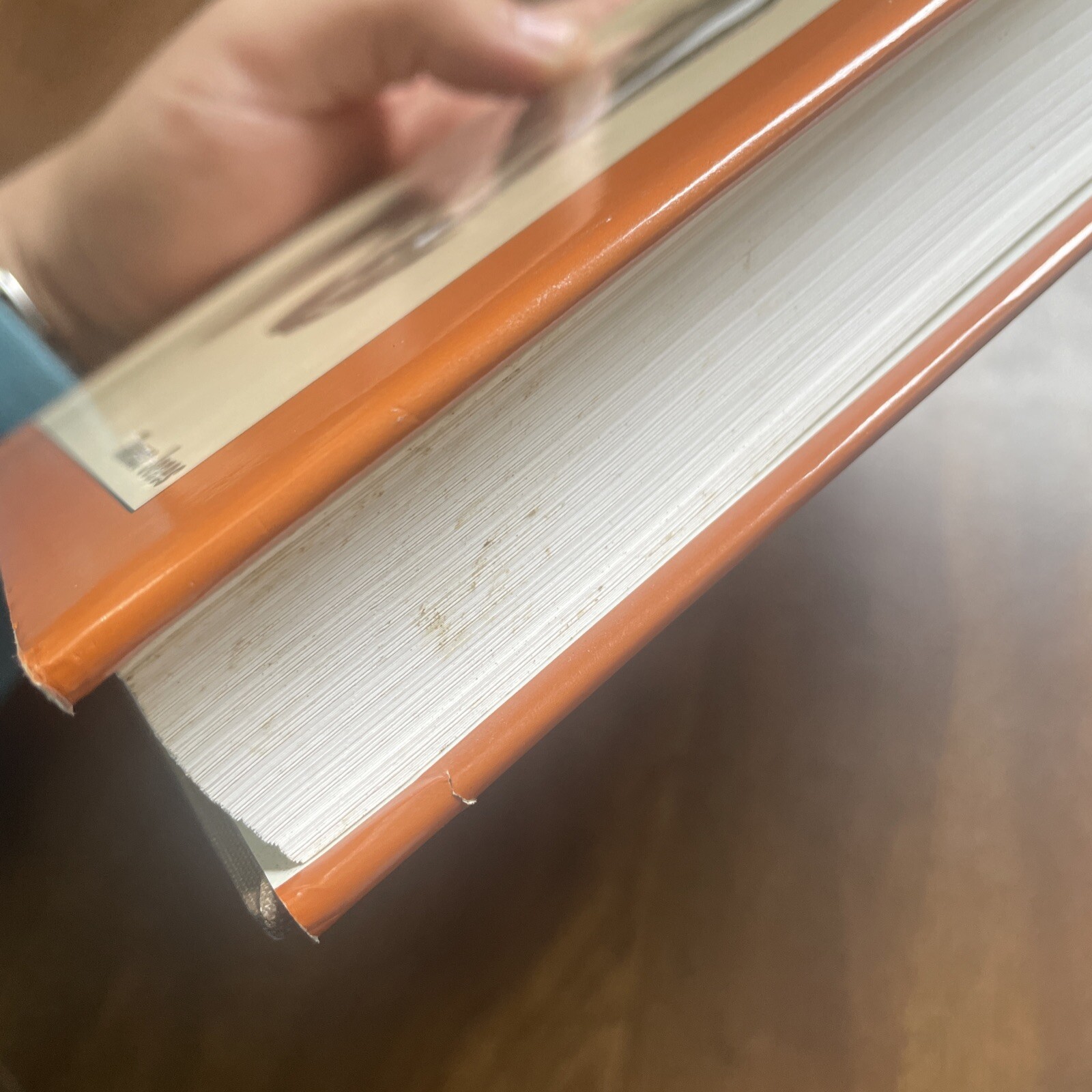 Rare Complete Foaling Manual, Jones, Theresa Hard Cover VG