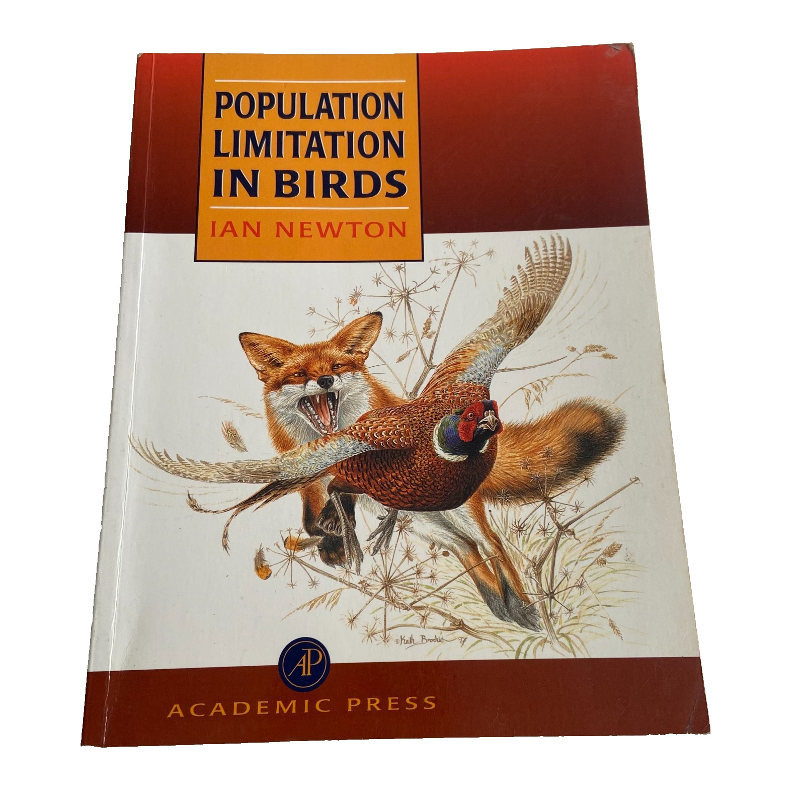 Population Limitation in Birds Paperback 1998 Ian Newton Academic Press