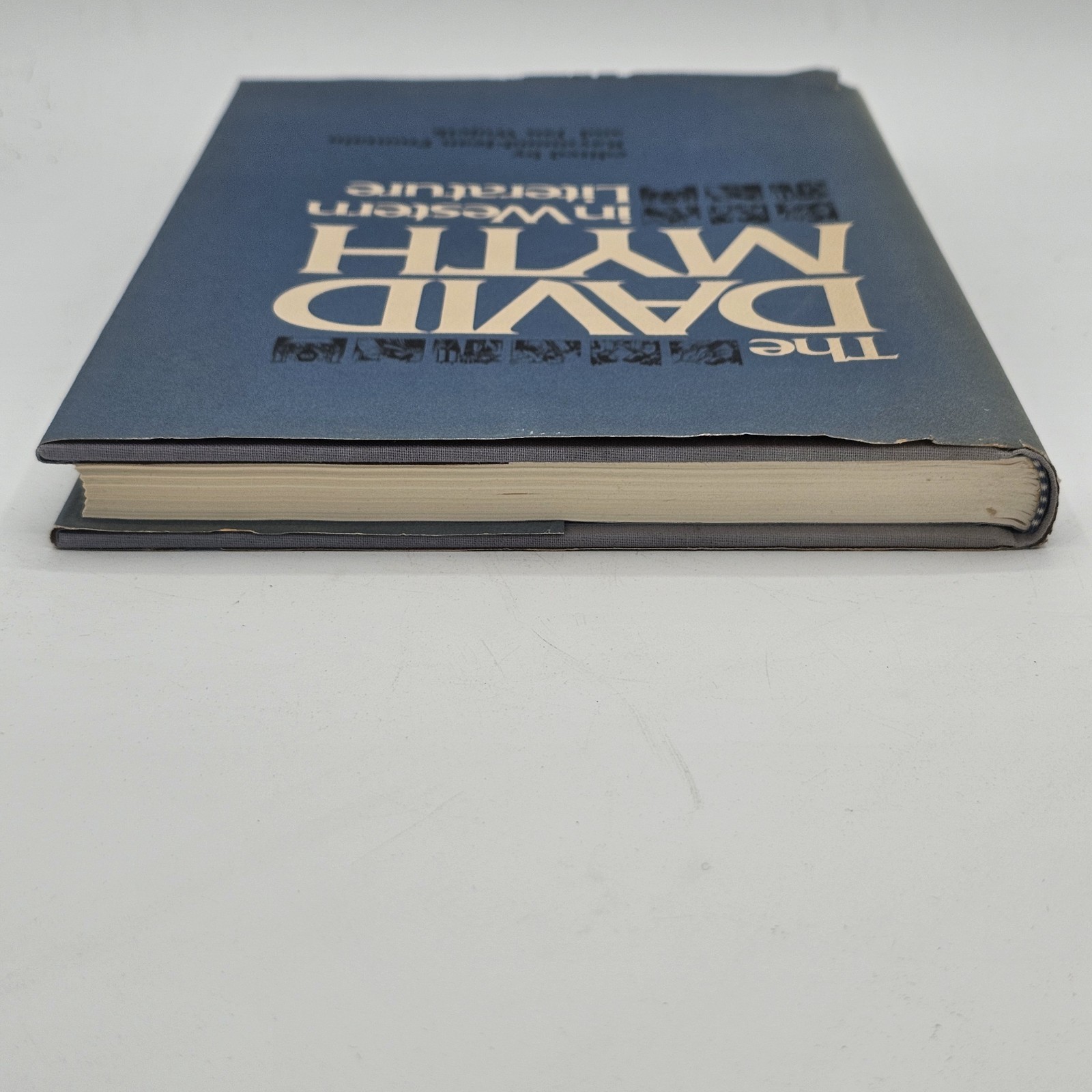 The David Myth in Western Literature 1980 HC 1st Edition Fontain Wojcik Biblical