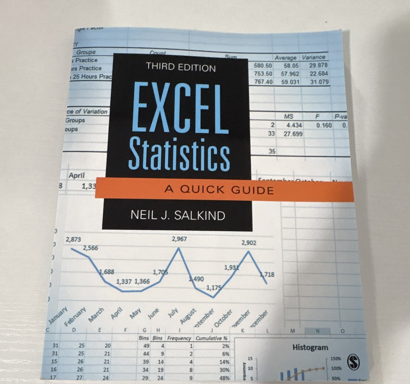 SAGE Excel Statistics: A Quick Guide 3rd Ed (2017) Paperback Neil J. Salkind