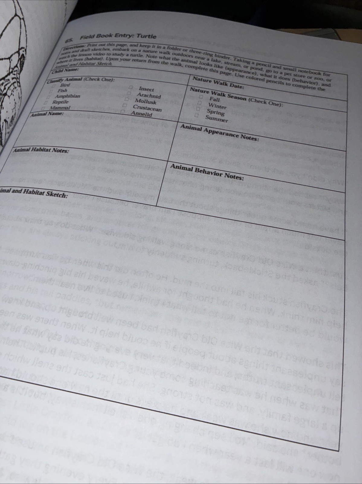 2nd Grade Science Full year Lessons Workbook Second Grade Science homeschool