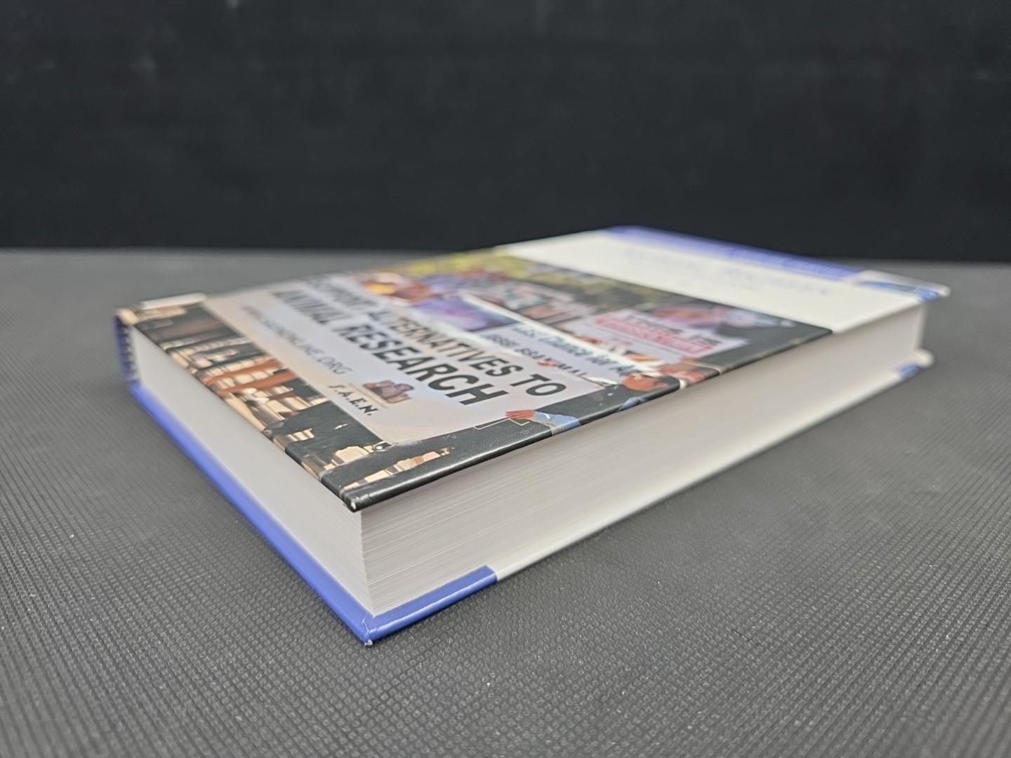 Animal Rights : A Reference Handbook, Hardcover by Sherry, Clifford J., Brand…