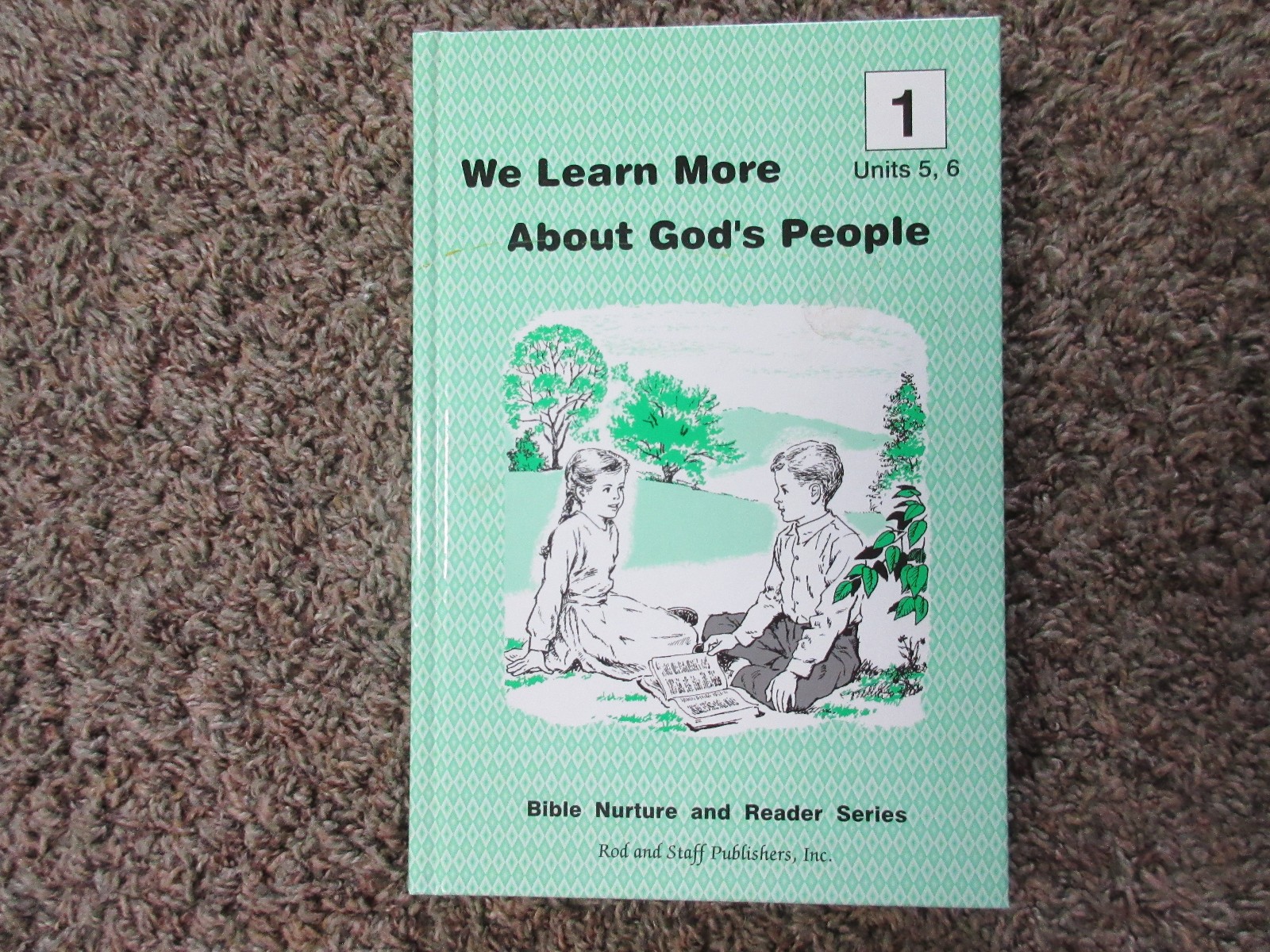 Rod & Staff Grade 1 Lot – Arithmetic Math Penmanship Reading Phonics