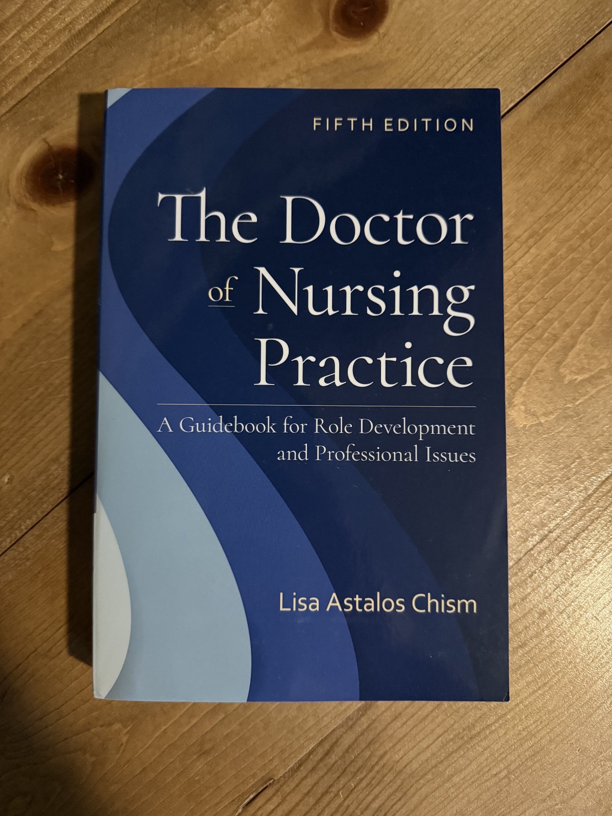 Doctor of Nursing Practice : A Guidebook for Role Development and…
