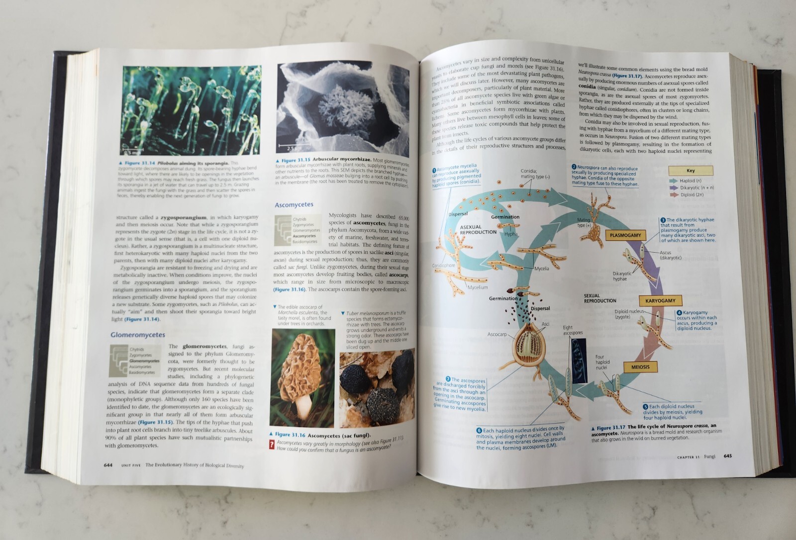 Campbell Biology 9th Edition