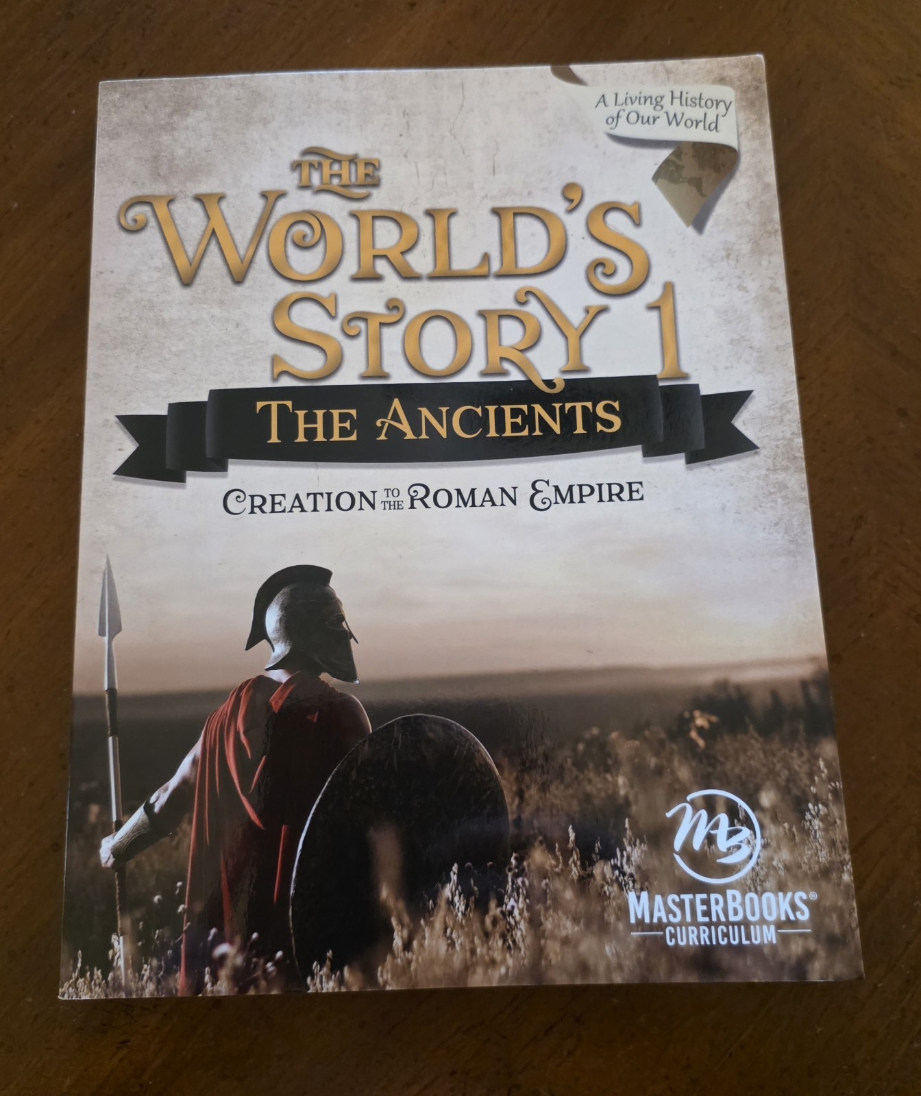 The World’s Story 1: The Ancients Paperback Angela O’Dell Brand New