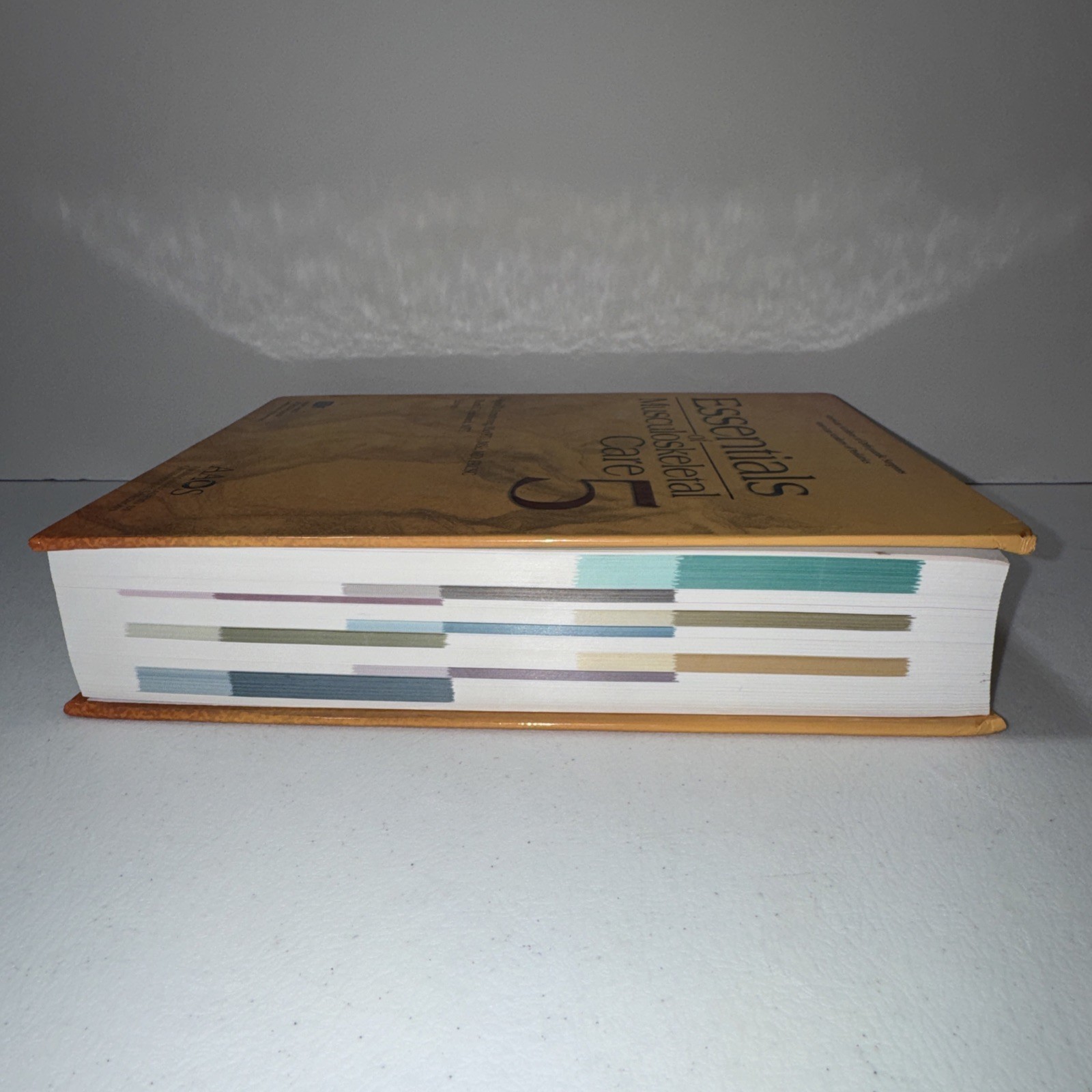ESSEN OF MUSCULOSKELETAL CARE 5E (AAOS VERSION) GOOD