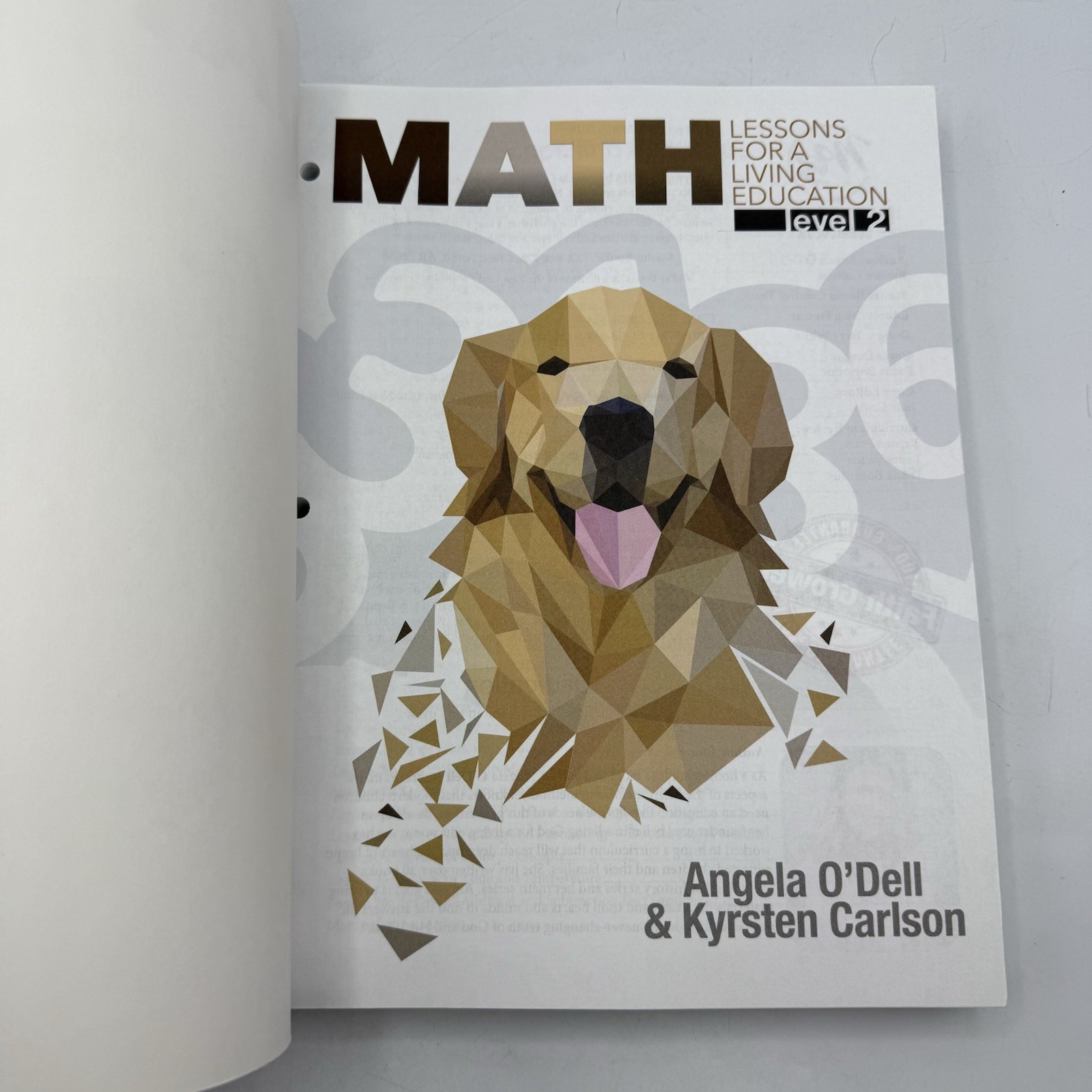 Math Level 2 Revised Ed. Master Books Curriculum For 2nd Grade NEW