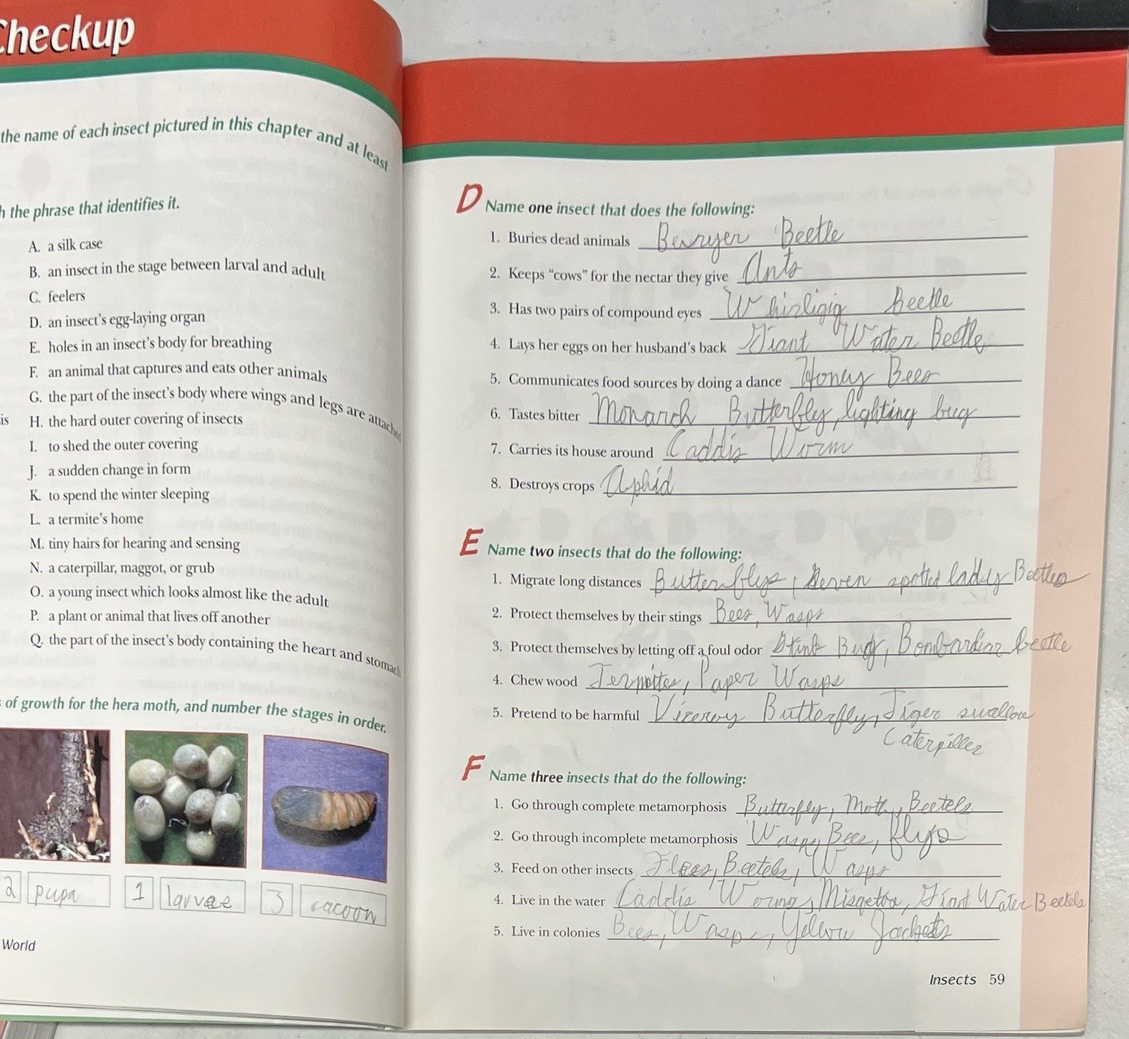 Abeka Understanding God’s World 3rd ed textbook homeschool science