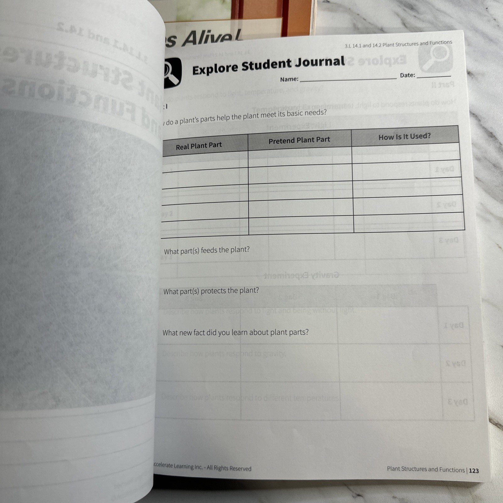 3rd Grade Student Workbooks – Social Studies & STEMscopes Florida