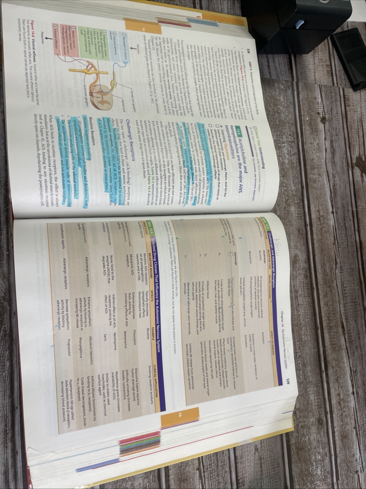 Human Anatomy & Physiology — Marieb & Hoehn — 10th Ed — HC