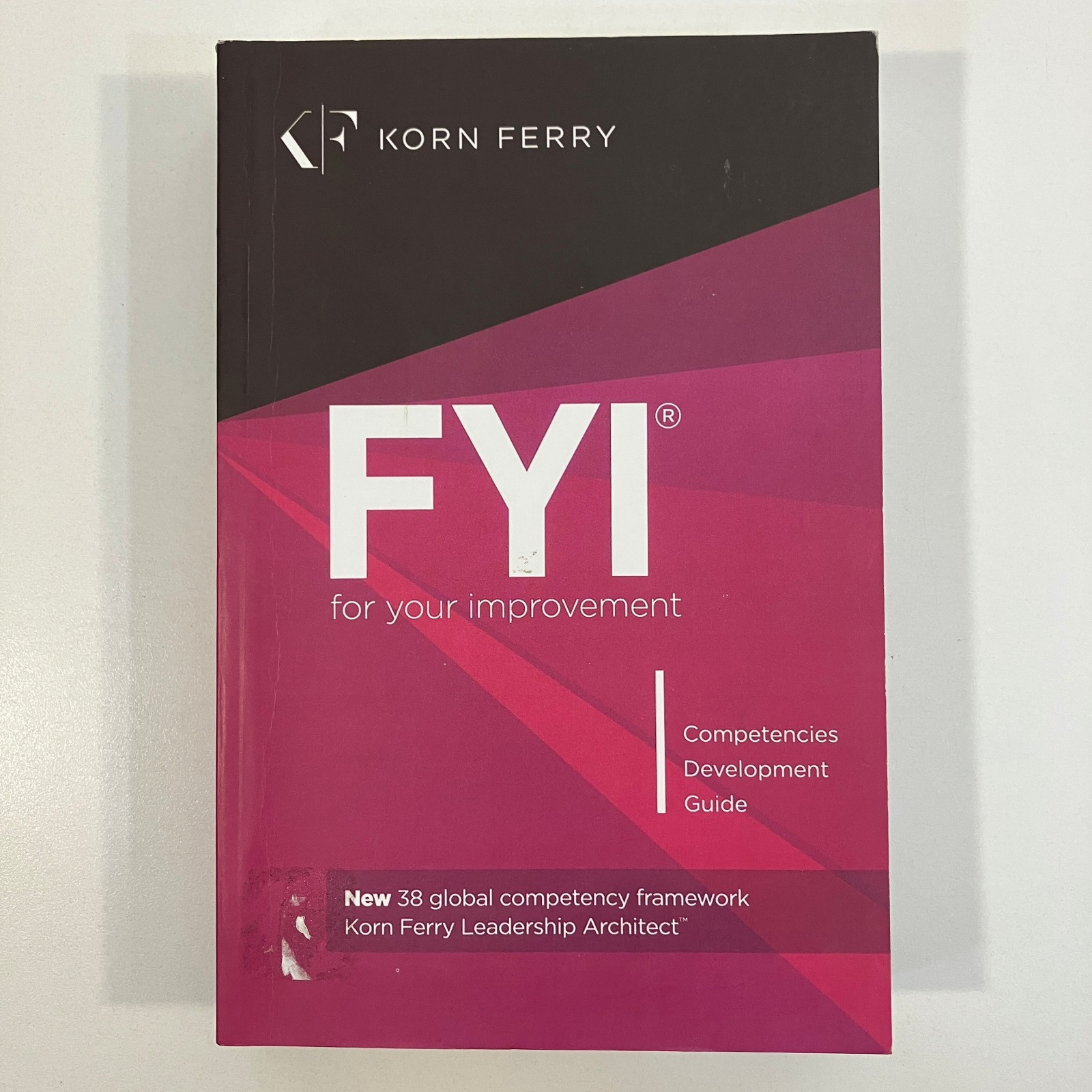 FYI For Your Improvement Competencies Development Guide by Korn Ferry 2014 TPB