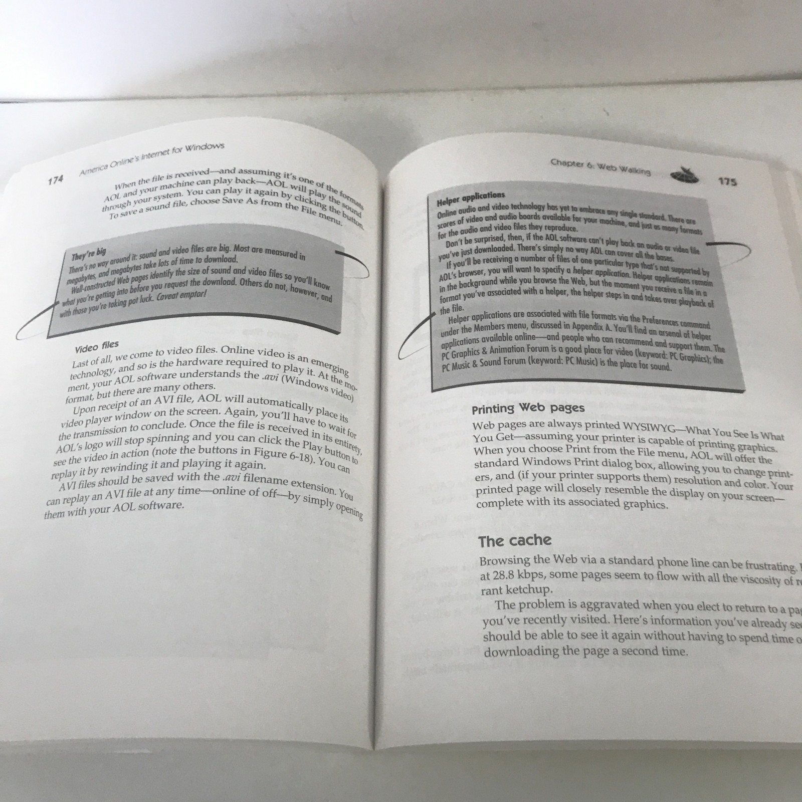 America Online’s Internet for Windows by Tom Lichty 1995 2nd Edition 360 Pages