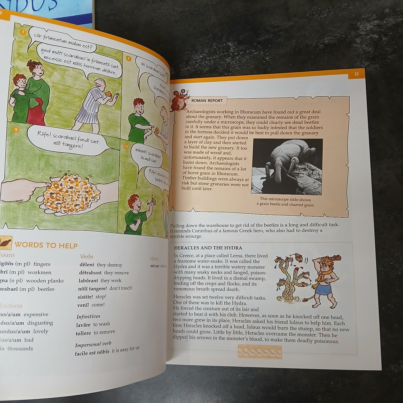 Minimus Secundus Teacher’s Resource and Student Book: Moving on in Latin