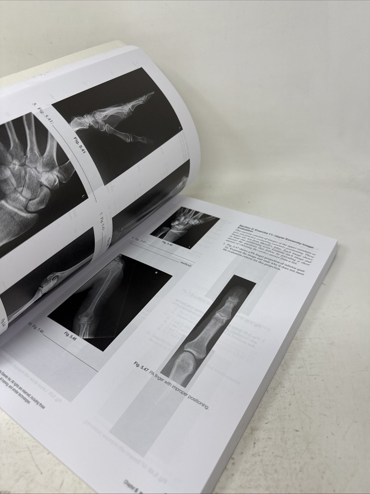 Workbook for Merrill’s Atlas of Radiographic Positioning and Procedures *Unused*