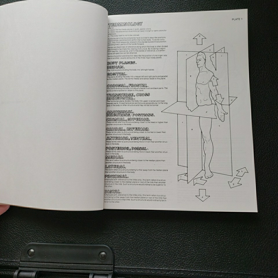 Anatomy Coloring Book by Wynn Kapit and Lawrence M. Elson, Some writing no color
