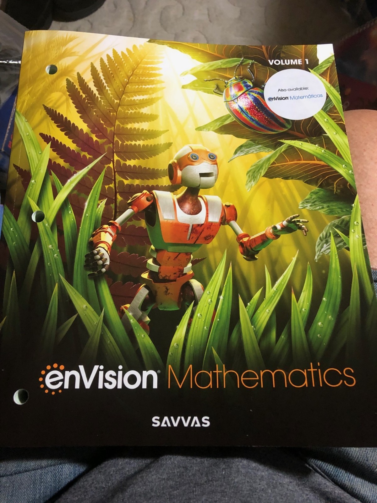 Envision Mathematics Student Edition Grade 6 Vol 1