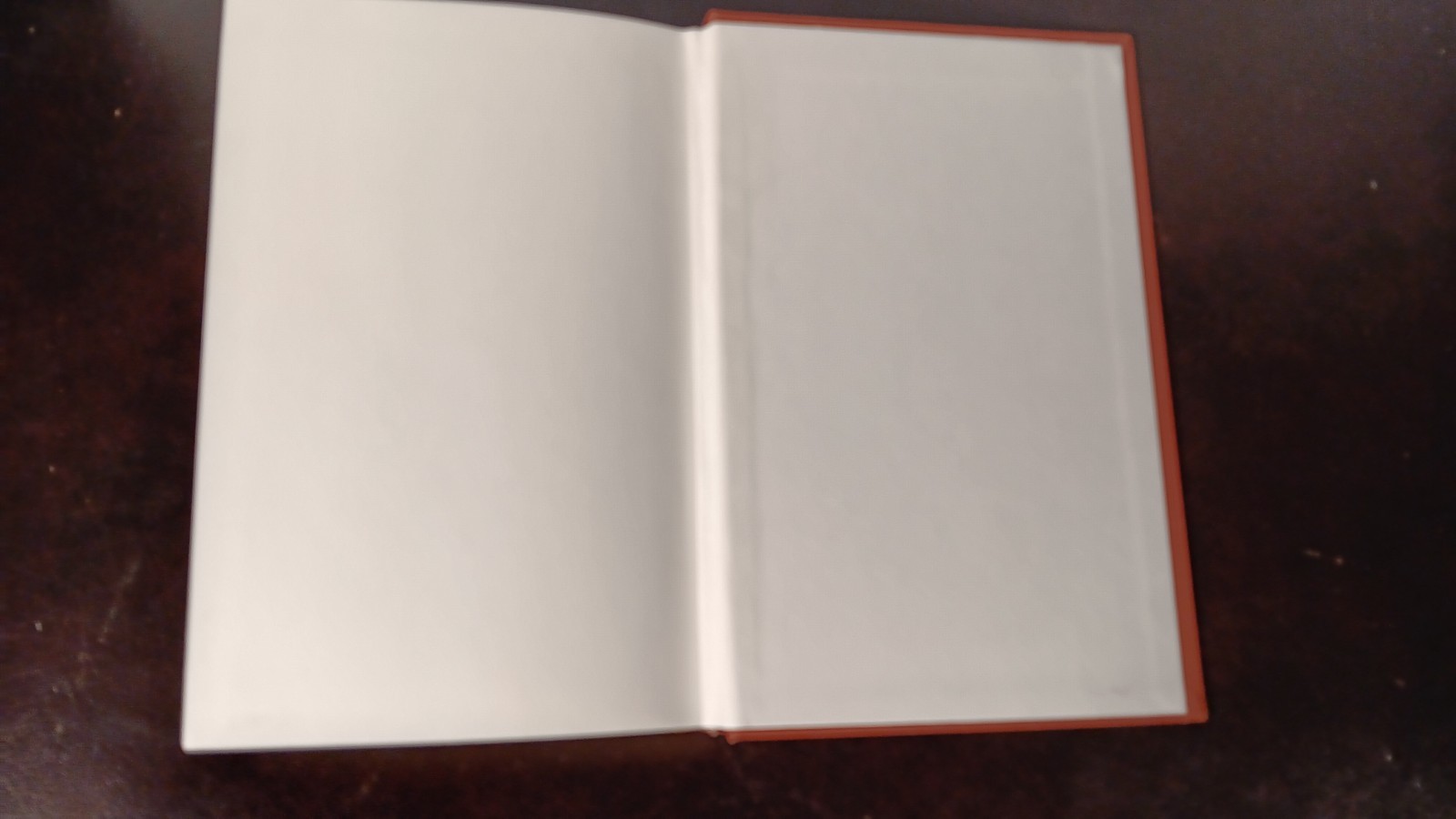 Psychodiagnosis in Schizophrenia by Irving B. Weiner-H/C 1966