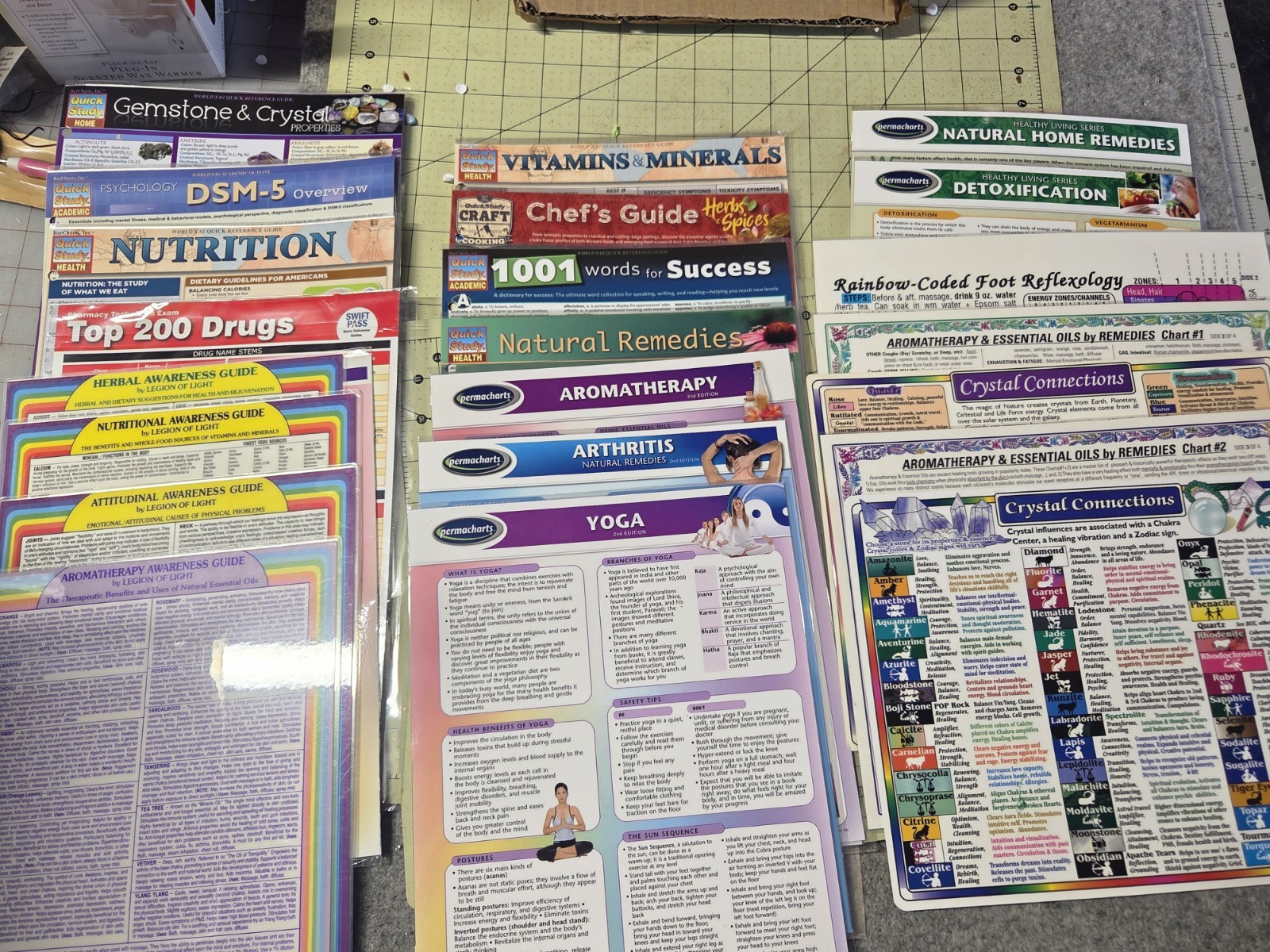 21 Permacharts and QuickStudy laminated reference guides