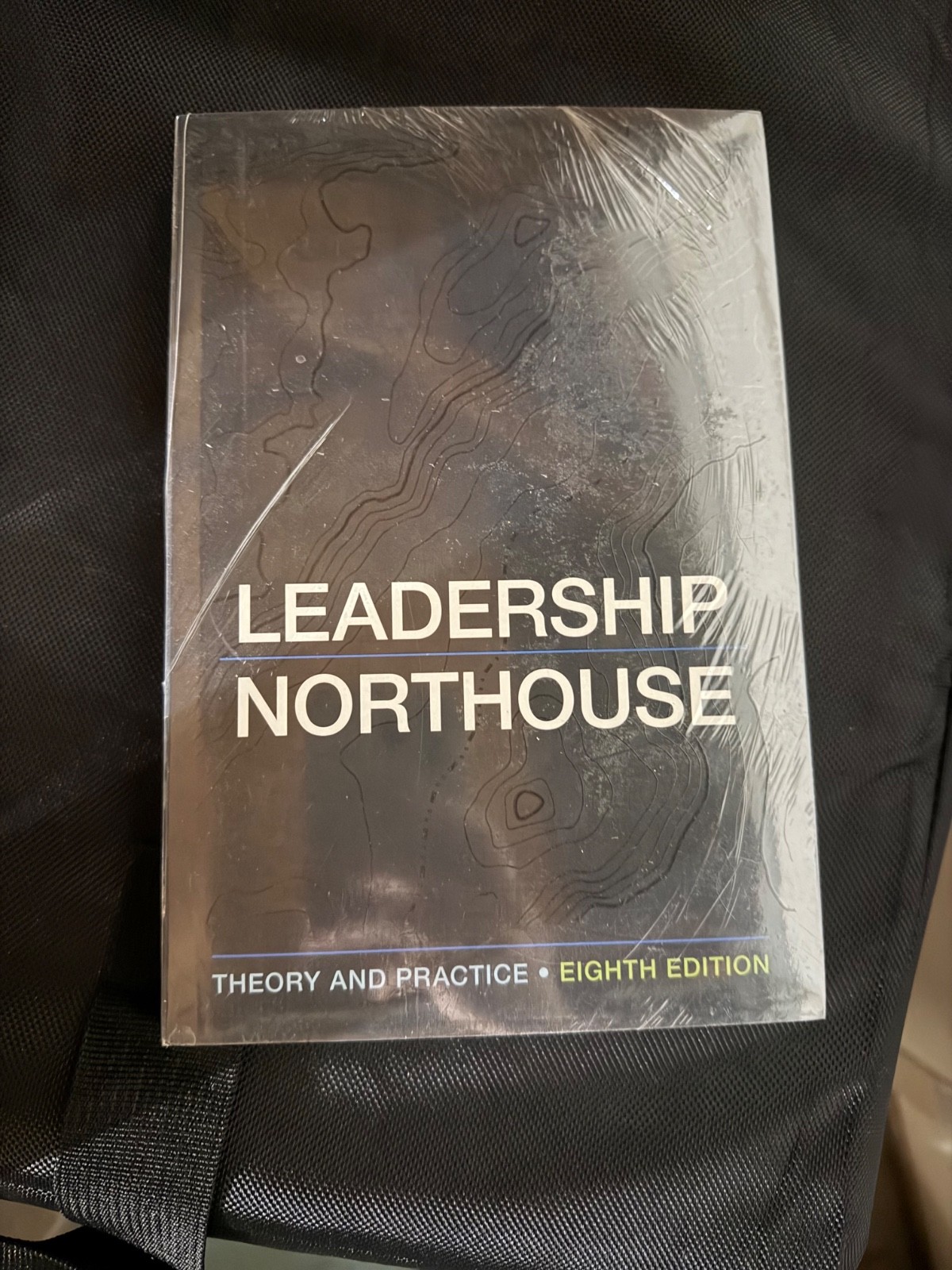 Leadership : Theory and Practice by Peter G. Northouse (2018, Trade Paperback)