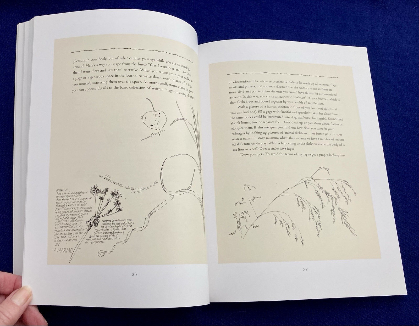 A Trail Through Leaves : The Journal as a Path to Place by Hannah Hinchman 1997