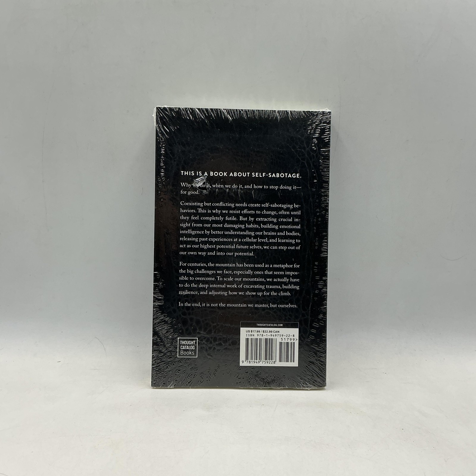 The Mountain Is You Brianna Wiest Black Trade PB 2020 Thought Catalog Self-Help