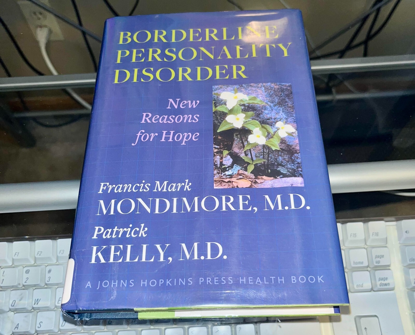 A Johns Hopkins Press Health Book Ser.: Borderline Personality Disorder : New…