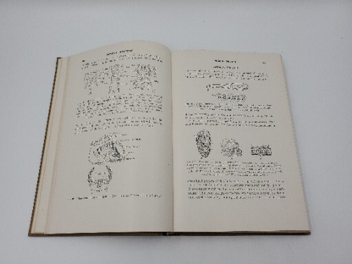 A Textbook of Entomology by Herbert H. Ross John Wiley & Sons, Inc. 1948 HB Book