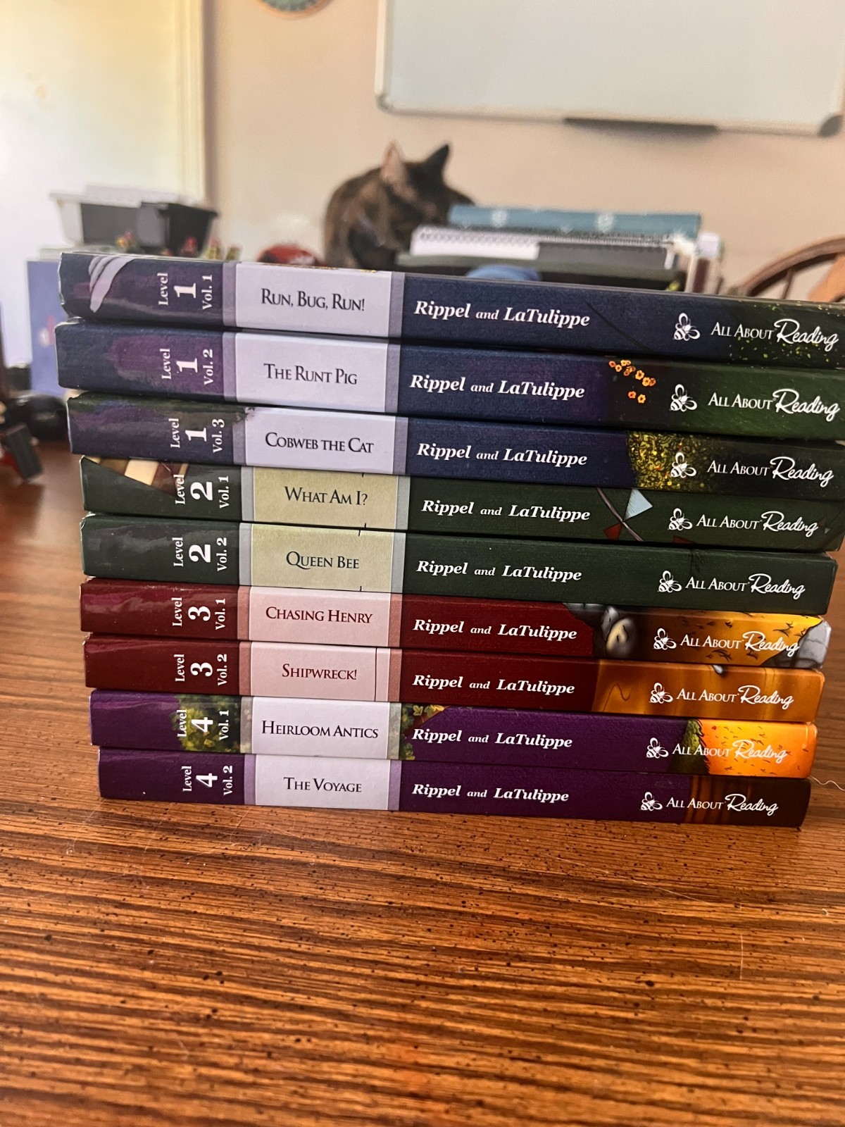 All About Reading Color Level 1, 2, 3, 4 Readers ONLY 9 Book Set