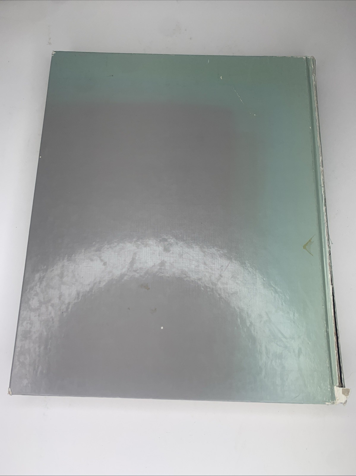 ATLAS OF ORTHOPEDIC PATHOLOGY: WITH CLINICAL AND By Peter G. Bullough & Vigorita