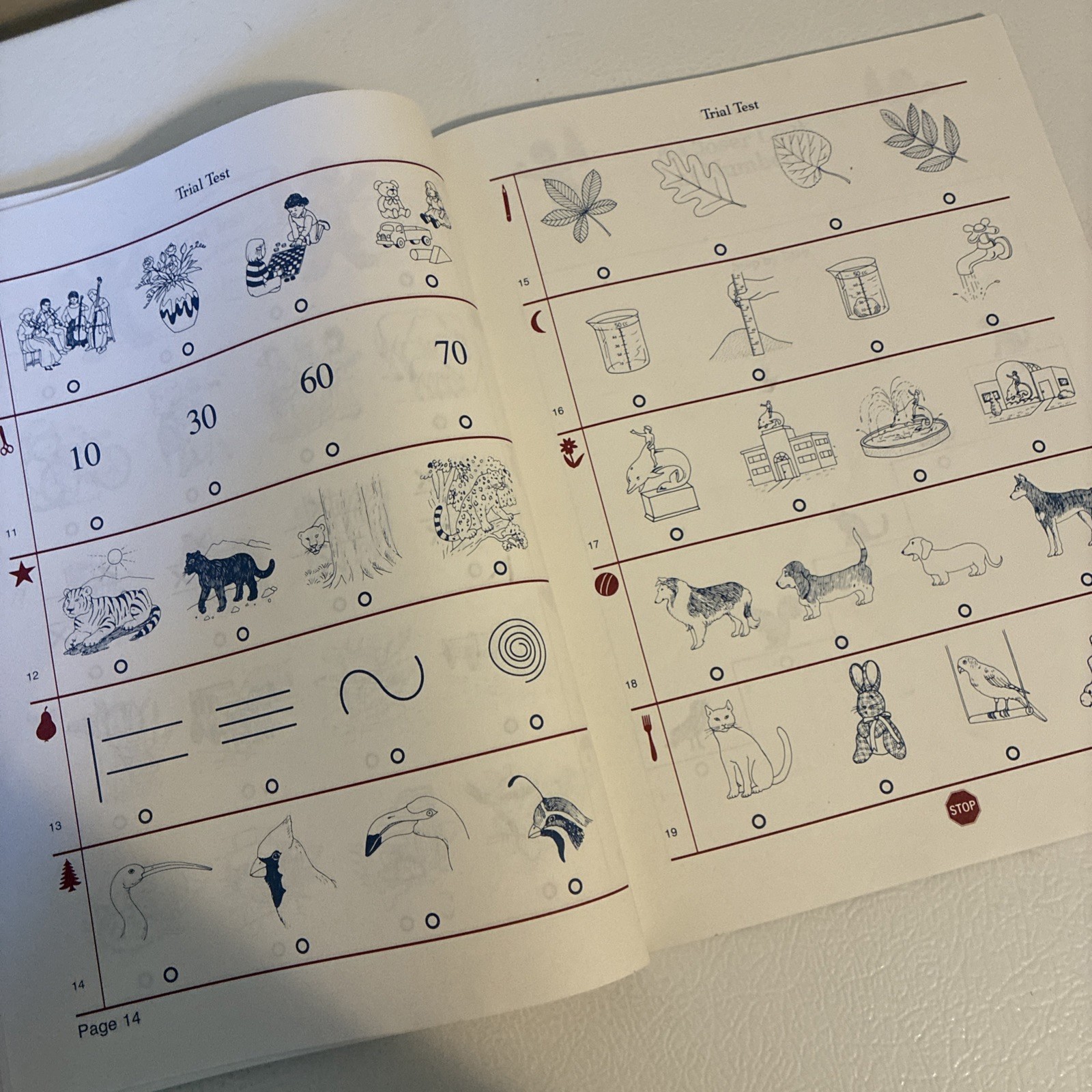 Riverside Publishing Test Alert Level A Set ~ Strategies for Taking Standardized